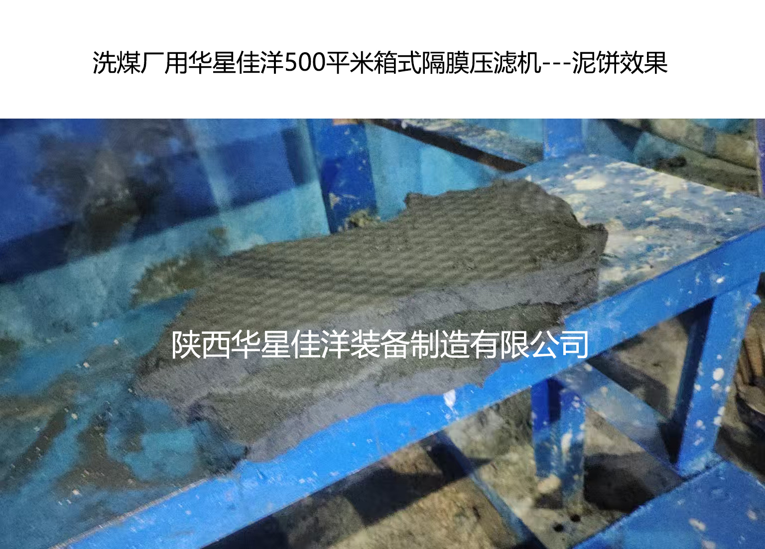 洗煤厂用我厂500平米箱式隔膜压滤机-泥饼效果